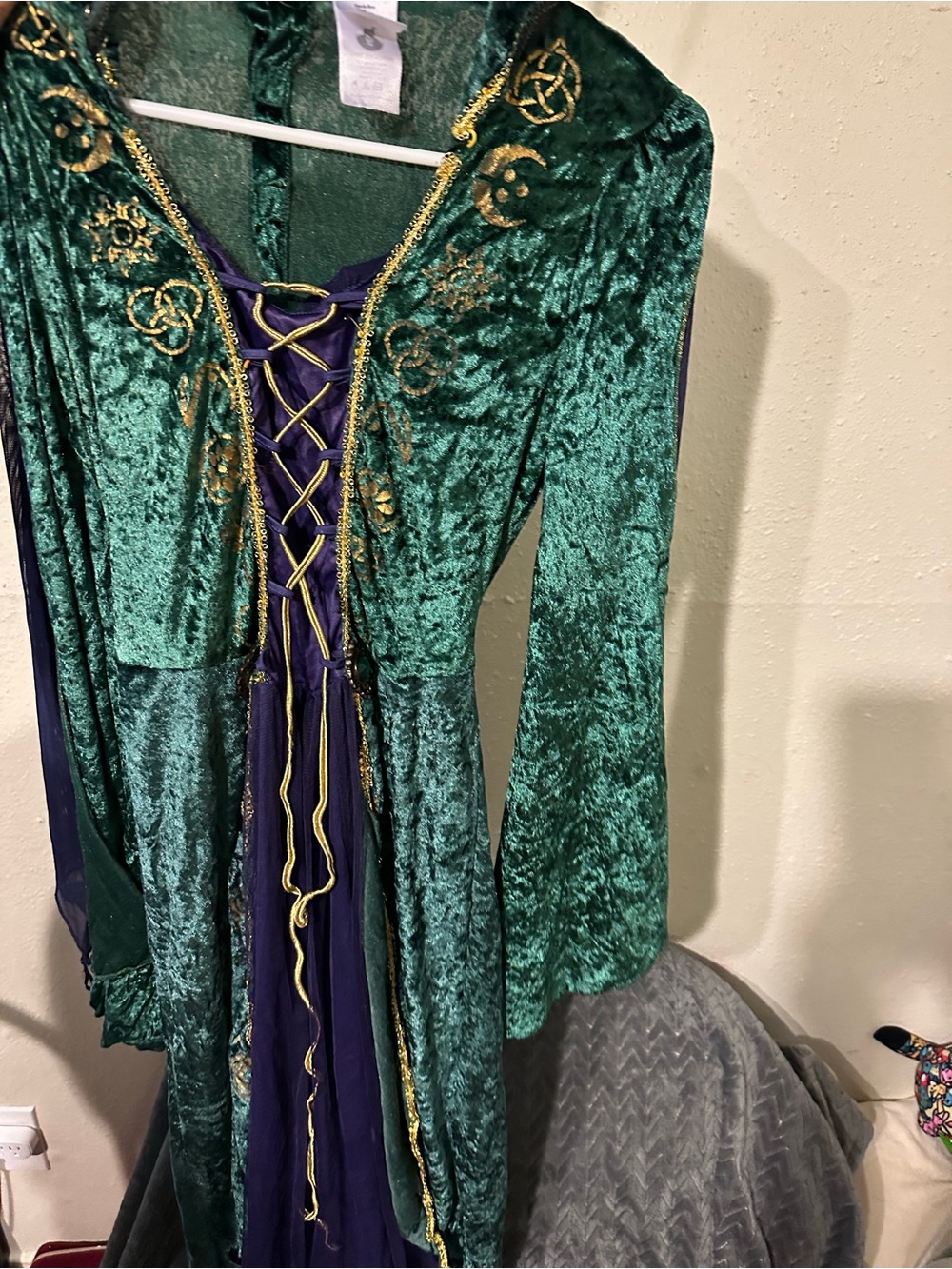 Disney Emerald Green Velvet  Hocus Pocus